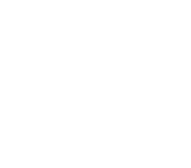 Bird Sort Main